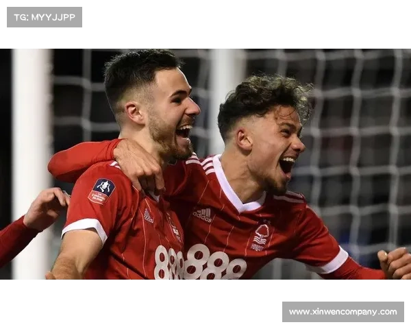 揭秘英足总杯第四圈规则的核心要素与实战策略分析